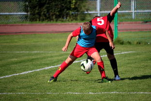 半岛体育官网-官方声明:球员福祉优先,决定退赛,球员退役发福 第2张